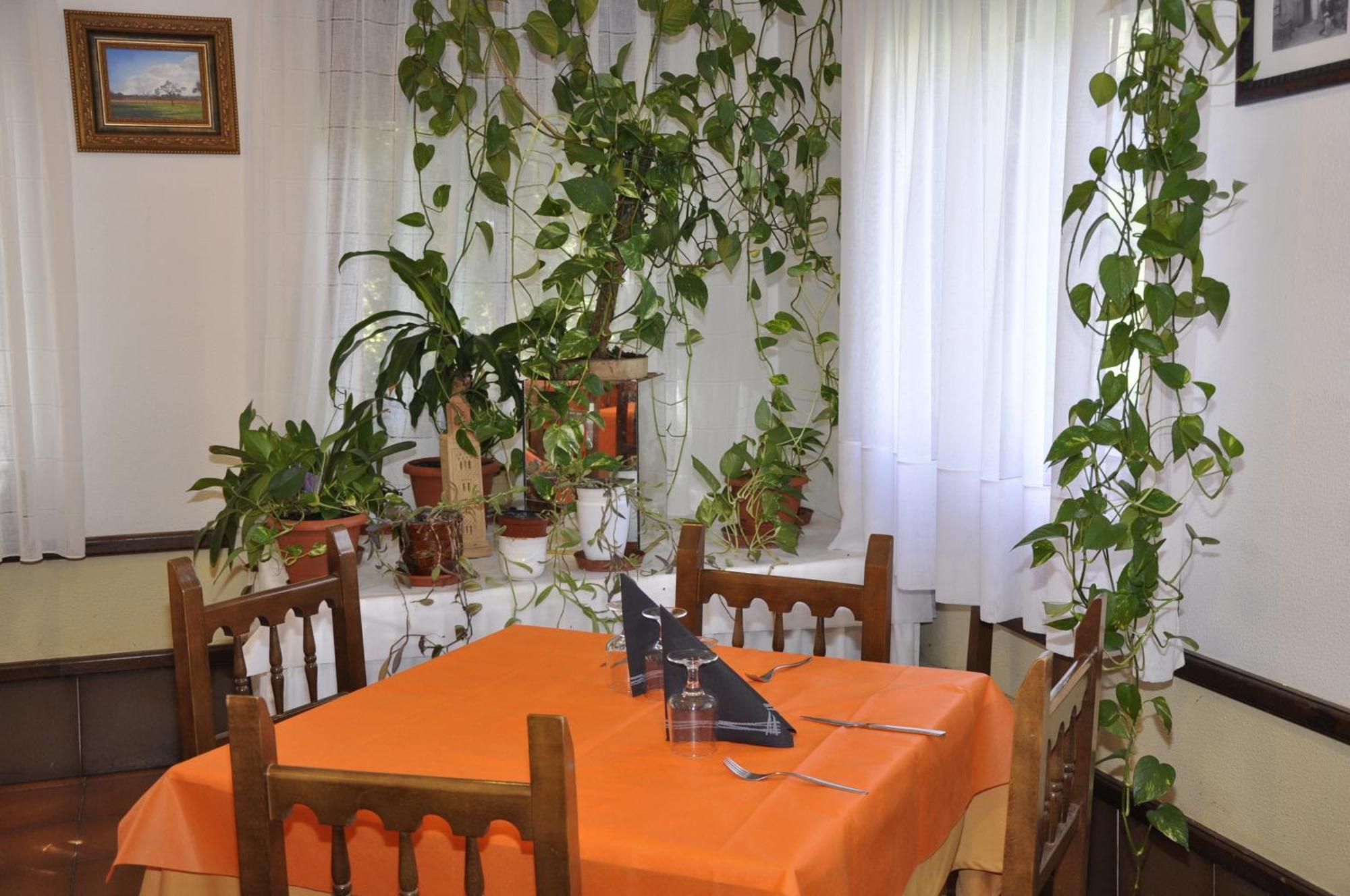 Hotel Castillo D'Acher Siresa エクステリア 写真